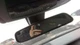 Rear View Mirror Automatic Dimming Fits 13-19 BMW 640i 31113568