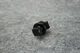 INFINITI Q50 2014-2024 OEM STEERING COLUMN TILT CONTROL SWITCH ASSEMBLY