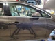 2012-2017 BUICK VERANO Passenger Right Front rh Door Brown 23489912 
