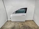 CADILLAC CT6 LUXURY 2016-2020 OEM FRONT LEFT DRIVER COMPLETE DOOR ASSEMBLY 23K