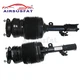 Front Pair Air Suspension Shock Struts For Lexus RX330 RX350 RX300 48510-49165