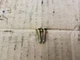 00 01 02 03 04 FORD E150 E250 E350 E450 TURN SIGNAL WIPER COLUMN SWITCH SCREWS