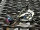 10 11 12 13 Mercedes E350 W212 FRONT PASSENGER DOOR WIRE WIRING HARNESS OEM 39k