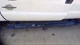 Wiper Transmission Fits 11-16 FORD F250SD PICKUP 1865844