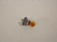 03 04 05 06 MERCEDES-BENZ E320 E350 E500 HEADLIGHT TURN SIGNAL BULB SOCKET K1228