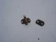 1966 1967 Olds 442 Cutlass F85 Vacuum Line & Wire Harness Brackets 330 400 OEM
