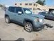 LEFT GRY FRONT DOOR ASSEMBLY OEM 15-23 JEEP RENEGADE