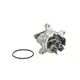 DAYCO Engine Water Pump for 2013-2017 FORD TAURUS 2.0L