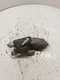 Used Windshield Wiper Motor fits: 2015 Jeep Patriot includes linkage Grade A
