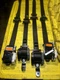 Complete SET  Of 4 BMW E70 X5 07-13 Front & Rear Seatbelts Black Oem