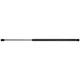 Genuine STRONG ARM Liftgate Lift Support 4590
