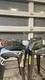 2004-2007 BMW E63 E64 645ci 650i M6 Headlight Set Pair HID Xenon Adaptive *AS IS
