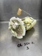 03 04 05 06 07 08 09 Nissan Z 350 350Z OEM Gas Fuel Transfer Pump Hub Assembly