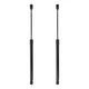 2x Rear Window Lift Supports Struts for Chevrolet S10 Blazer 1983-1994 15688545