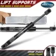 2Pcs Rear Trunk Lift Supports Shocks Struts for Mazda 6 2006-2013 Sedan 7.80''