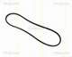 TRISCAN V-Belt Black For ALFA ROMEO AUDI AUSTIN CHEVROLET CHRYSLER 59-04 AEJ101