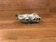 2011-2018 FORD FOCUS FIESTA OEM TCM TCU TRANSMISSION CONTROL MODULE COMPUTER K05