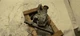 REAR DIFFERENTIAL CARRIER ASSEMBLY OEM 2006 BENTLEY CONT-GT 1YR WRNTY