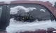 Rear Door Glass/window PONTIAC TORRENT Left 06 07 08 09