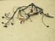 10-12 Land Range Rover HSE L322 2012 Engine Compartment Wire Wiring Harness ; :O