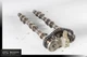 97-04 Porsche Boxster 986 Timing Chain Tensioner w/ Camshaft Cam Shaft Set OEM