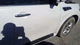 Passenger Front Door Electric Fits 14-24 INFINITI QX80 5369436