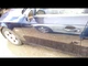 Driver Front Door Electric Green Tint Fits 06-10 BMW 550i 29235744