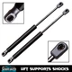 2Pcs Front Hood Lift Supports Shocks for 2011-2016 Audi A6 A7 Quattro RS7 S6 S7