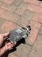 2010 2011 Mazda 3 Transmission 2.0L Computer Unit TCU TCM LF8M 18 9E1F