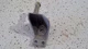 2022-2024 VOLKSWAGEN TAOS EXHAUST SYSTEM REAR BRACKET HANGER 5Q0253144P