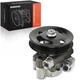 A-Premium Power Steering Pump w/ Pulley for Toyota Camry 95-06 Highlander Sienna