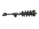 17 18 19 ALFA ROMEO GIULIA RWD FRONT RIGHT SHOCK STRUT ABSORBER OEM #A0.62