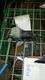 Windshield Wiper Motor Fits 88-92 MAZDA 626 18824