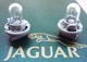 2 NEW AFTERMARKET JAGUAR XJS 92 93 94 95 96  INSTRUMENT PACK GAUGE BULB DAC6477