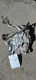 20 21 22 23 24 FORD ESCAPE Transfer Case 2.0l