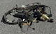 92-97 Ford F150 F250 F350 Bronco OEM Dash Wiring Harness Interior Wire Loom OBS