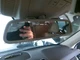 Rear View Mirror 166 Type Suv VIN D Fits 16-19 MERCEDES GLE-CLASS 812220