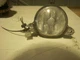 98 99 00 01 02 03 JAGUAR XJ8 CORNER/PARK LIGHT 5852