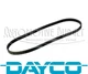 A/C Compressor Belt for BMW 545i 550i 645Ci 650i 745Li 745i 750Li 750i Alpina B7