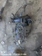 INTAKE MANIFOLD OEM 2016 SMART SMARTFOR2 1YR WRNTY 2810900637