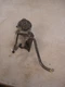 1964 1965 1966 1967 Oldsmobile 442 Cutlass F85 Automatic Throttle Assembly OEM