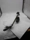 2015 Jeep Patriot Wiper Motor OEM 4879432AH Black 138K Miles - Fast Shipping
