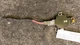 AUDI A3 AUDI  FRONT WINDSHIELD RAIN DETECTION SENSOR  8U0955559B OEM