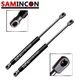 2X Rear Tailgate Lift Supports Struts Shocks Springs For Ford Escape 2013-2017