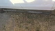 Passenger Sun Visor Crew Cab Without Mirror Fits 15-17 FORD F150 PICKUP 1838062