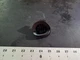 2004-2014 Ford F150 Coin Storage Cubby Tray Slot Compartment OEM 9L34-15519C36