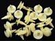 GM G-Body Door & Trim Panel Clips- Fits 1/4" Hole- 13/16" Long- 20 clips- #115