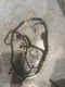 FORD F250-F550 BC3T14405CSD BC3T14405B6EJ3 FRAME/CHASSIS HARNESS