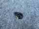 BANG & OLUFSEN A PILLAR TWEETER SPEAKER OEM 39K 17-23 AUDI A4 A5 S4 S5 RS5 B9