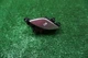 12 13 14 15 16 17 HYUNDAI VELOSTER OFF ROAD BUTTON Control OEMU09A82
